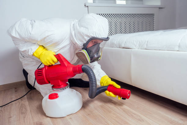 Best Termite Control Services  in Fredericksburg, PA