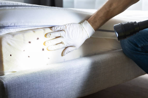 Pest Control Cost in Fredericksburg, PA